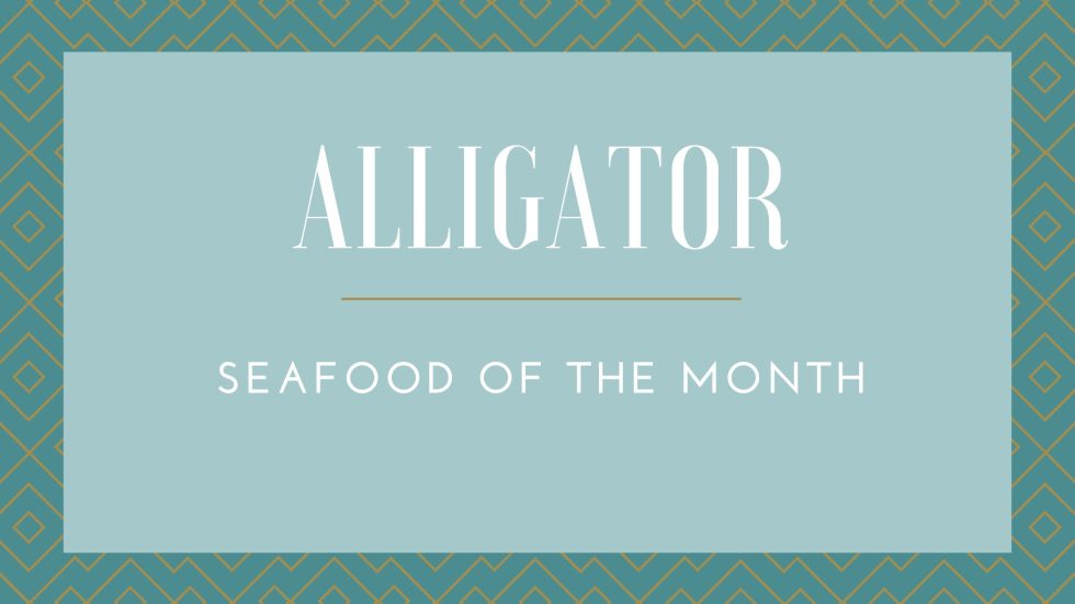 Alligator Seafood Of The Month alligator-seafood-of-the-month