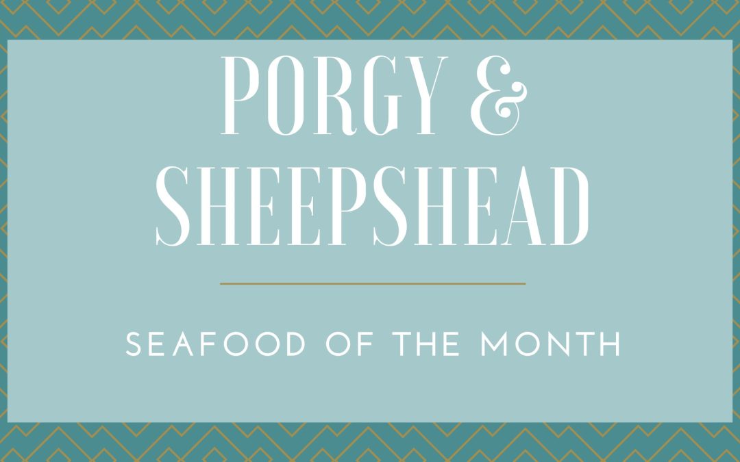 Porgy & Sheepshead: Seafood of The Month