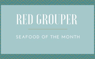 Red Grouper:  Seafood of The Month