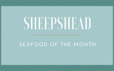 Sheepshead:  Seafood of The Month